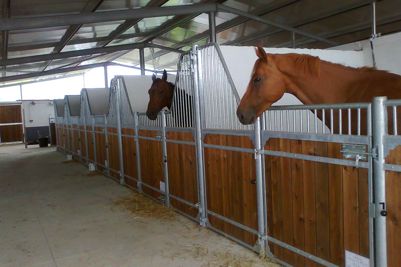 Construções Equestres