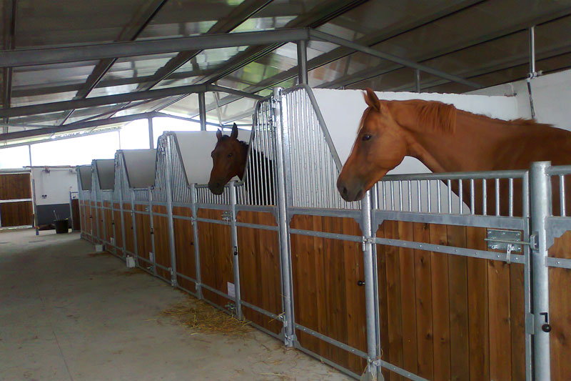 Construções Equestres