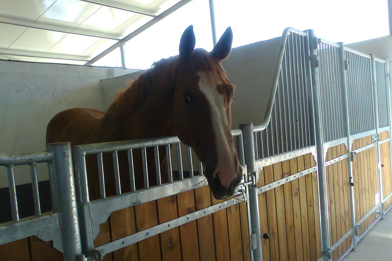 Construções Equestres